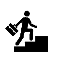Career